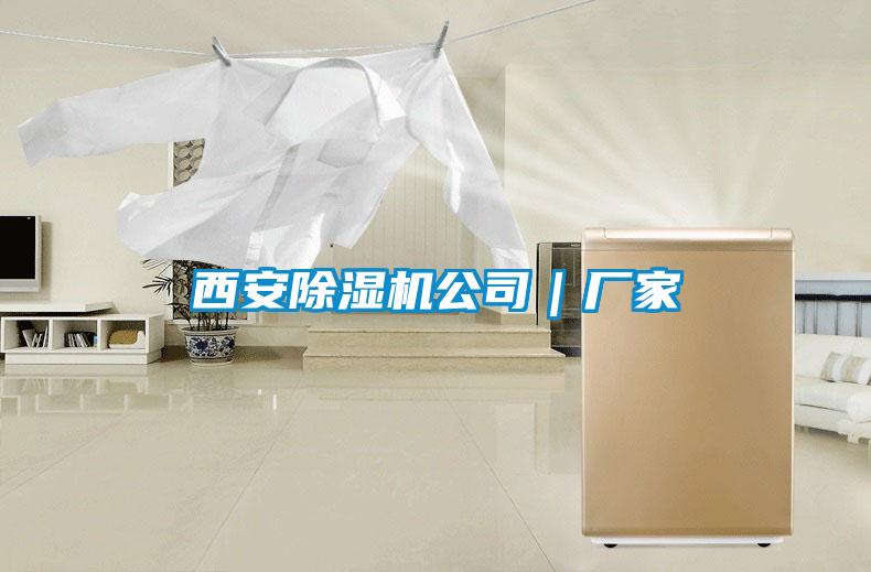 西安除濕機公司｜廠(chǎng)家