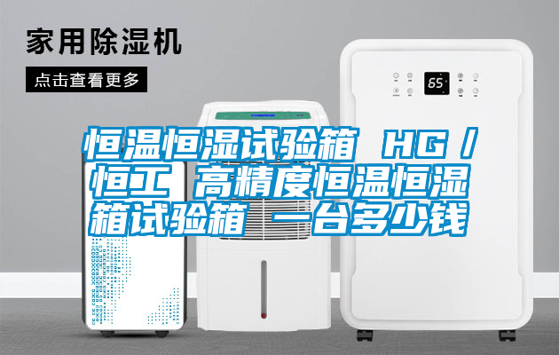 恒溫恒濕試驗箱 HG／恒工 高精度恒溫恒濕箱試驗箱 一臺多少錢(qián)