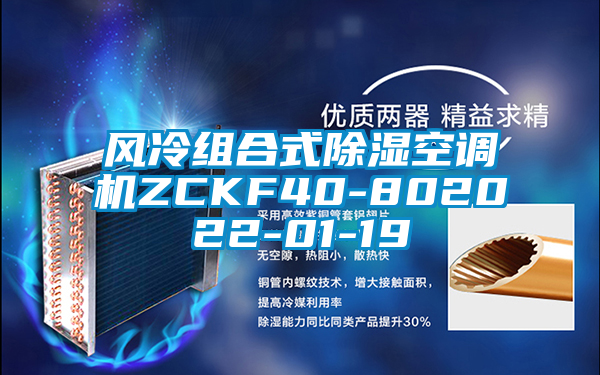 風(fēng)冷組合式除濕空調機ZCKF40-802022-01-19