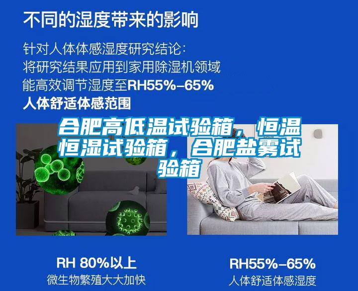 合肥高低溫試驗箱，恒溫恒濕試驗箱，合肥鹽霧試驗箱