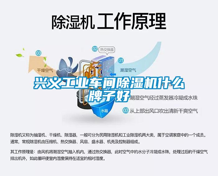 興義工業(yè)車(chē)間除濕機什么牌子好