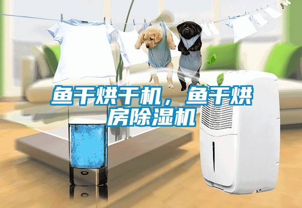 魚(yú)干烘干機，魚(yú)干烘房除濕機