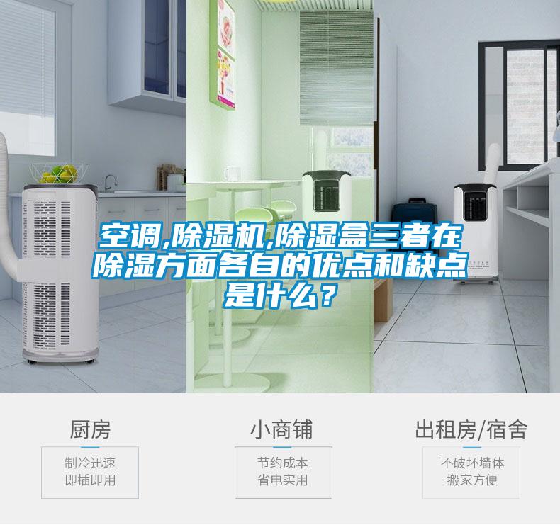 空調,除濕機,除濕盒三者在除濕方面各自的優(yōu)點(diǎn)和缺點(diǎn)是什么？