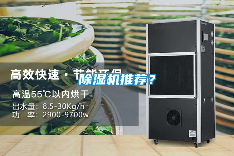 除濕機推薦？