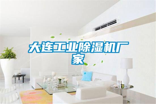大連工業(yè)除濕機廠(chǎng)家