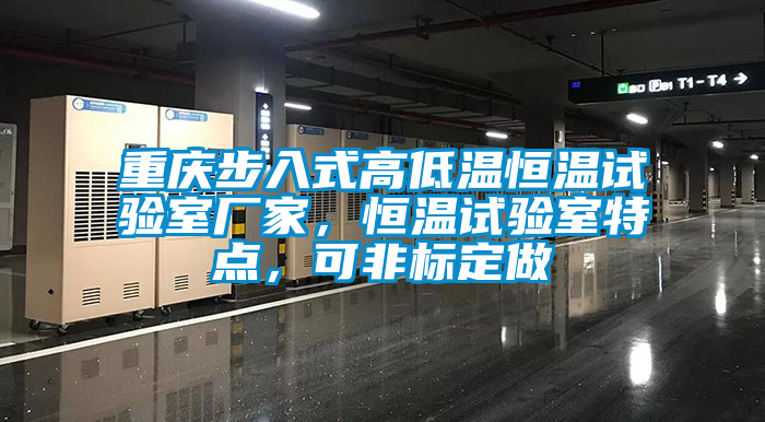 重慶步入式高低溫恒溫試驗室廠(chǎng)家，恒溫試驗室特點(diǎn)，可非標定做