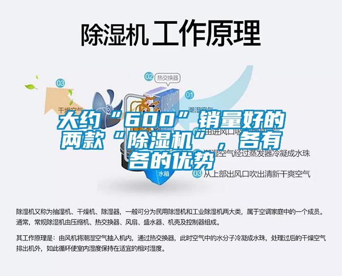 大約“600”銷(xiāo)量好的兩款“除濕機”，各有各的優(yōu)勢