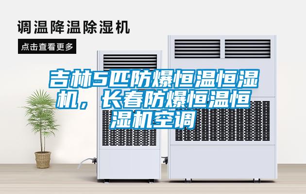 吉林5匹防爆恒溫恒濕機，長(cháng)春防爆恒溫恒濕機空調
