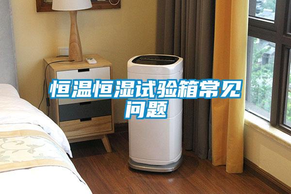 恒溫恒濕試驗箱常見(jiàn)問(wèn)題