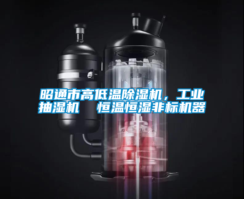 昭通市高低溫除濕機，工業(yè)抽濕機  恒溫恒濕非標機器