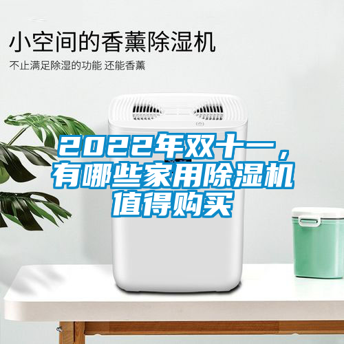 2022年雙十一，有哪些家用除濕機值得購買(mǎi)