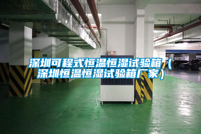 深圳可程式恒溫恒濕試驗箱（深圳恒溫恒濕試驗箱廠(chǎng)家）