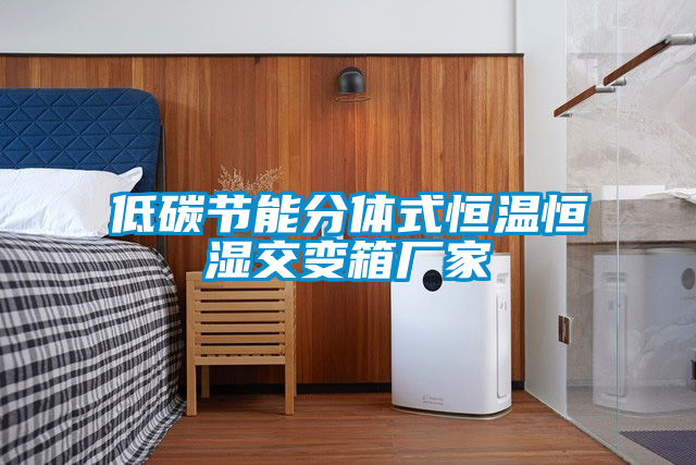 低碳節能分體式恒溫恒濕交變箱廠(chǎng)家