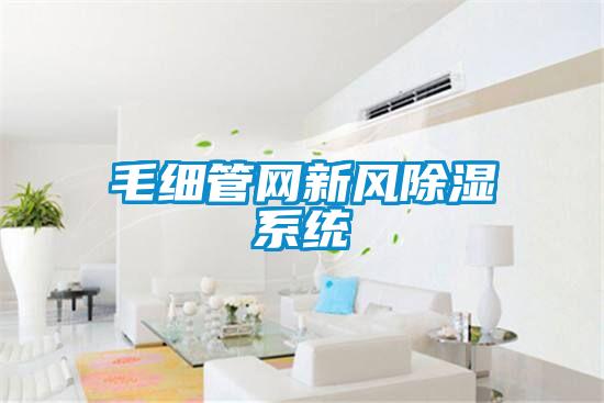 毛細管網(wǎng)新風(fēng)除濕系統