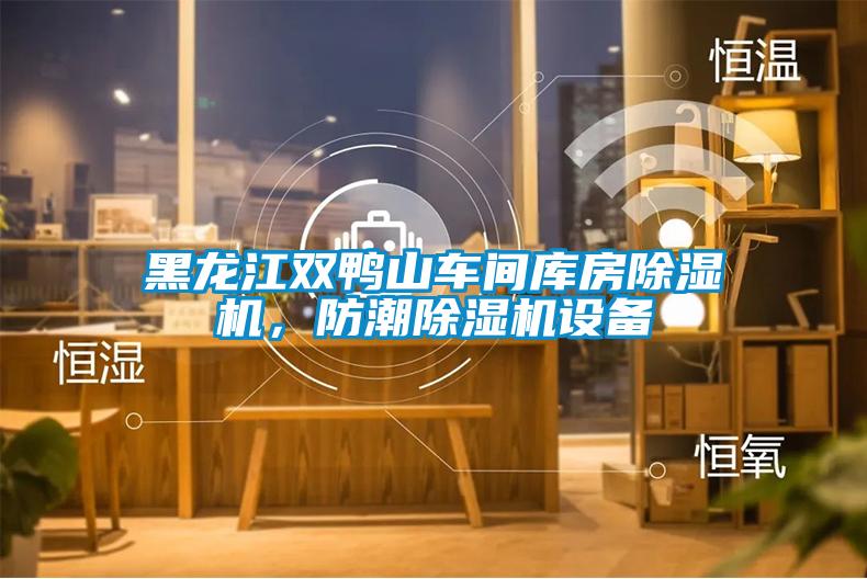黑龍江雙鴨山車(chē)間庫房除濕機，防潮除濕機設備