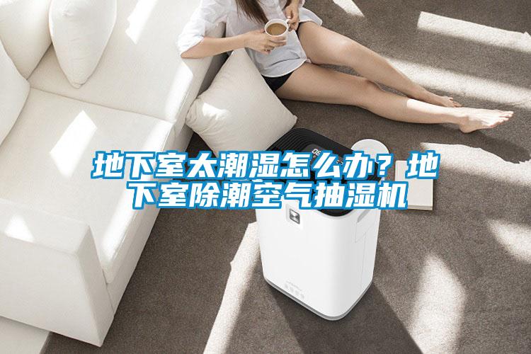 地下室太潮濕怎么辦？地下室除潮空氣抽濕機