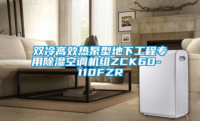 雙冷高效熱泵型地下工程專(zhuān)用除濕空調機組ZCK60- 110FZR