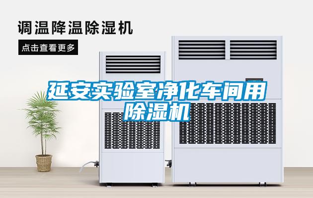 延安實(shí)驗室凈化車(chē)間用除濕機