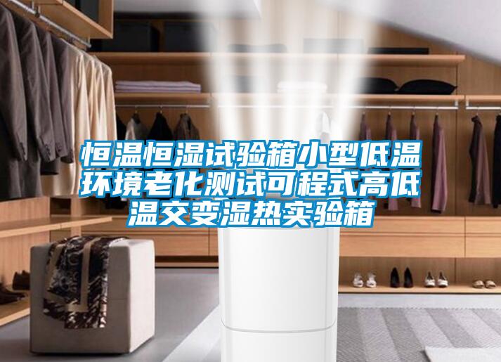恒溫恒濕試驗箱小型低溫環(huán)境老化測試可程式高低溫交變濕熱實(shí)驗箱