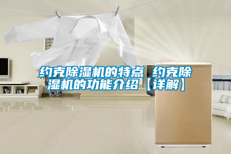 約克除濕機的特點(diǎn) 約克除濕機的功能介紹【詳解】