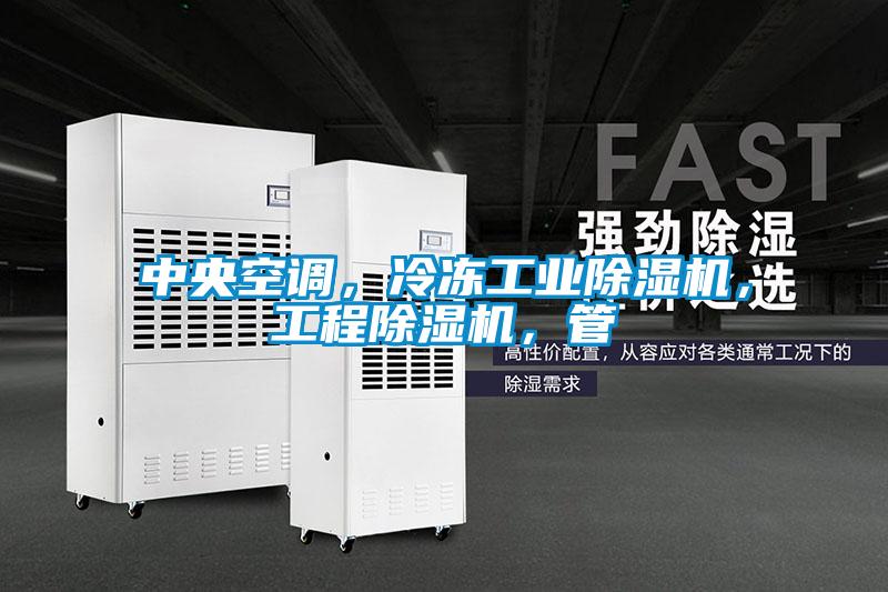中央空調，冷凍工業(yè)除濕機，工程除濕機，管