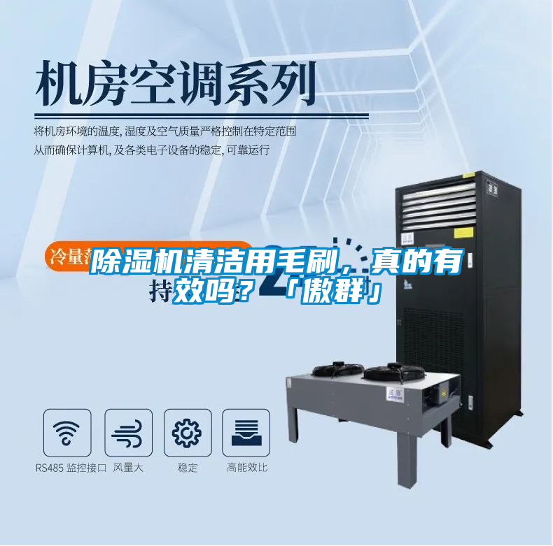 除濕機清潔用毛刷，真的有效嗎？「傲群」