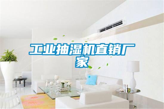 工業(yè)抽濕機直銷(xiāo)廠(chǎng)家