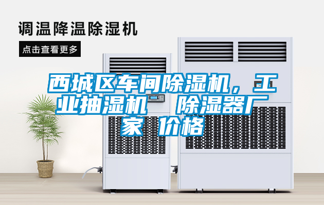 西城區車(chē)間除濕機，工業(yè)抽濕機  除濕器廠(chǎng)家 價(jià)格