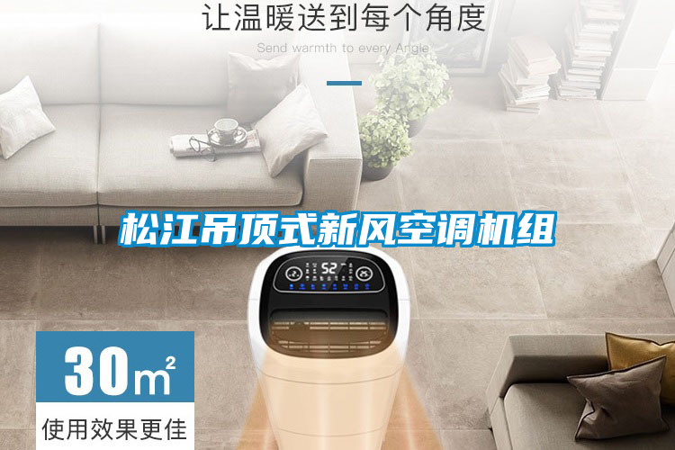 松江吊頂式新風(fēng)空調機組