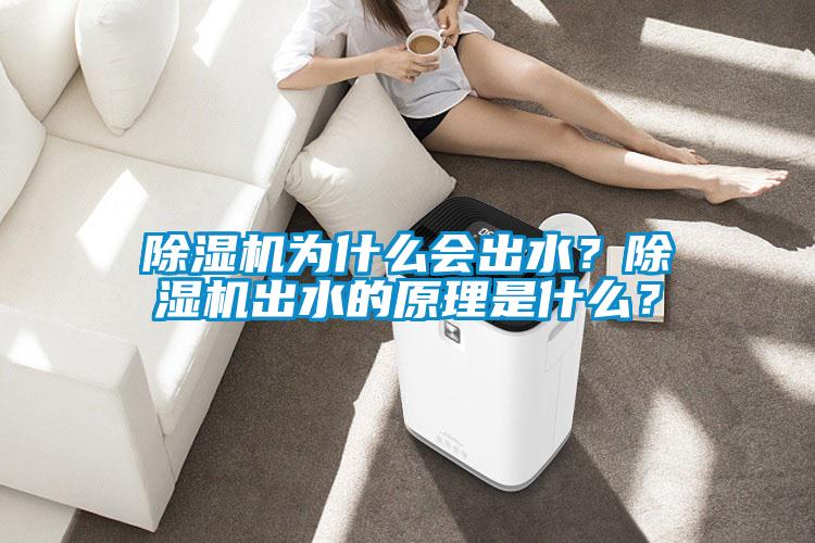 除濕機為什么會(huì )出水？除濕機出水的原理是什么？