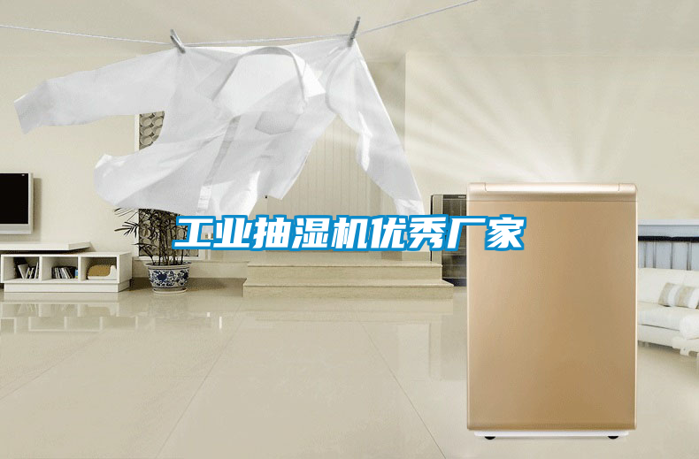 工業(yè)抽濕機優(yōu)秀廠(chǎng)家