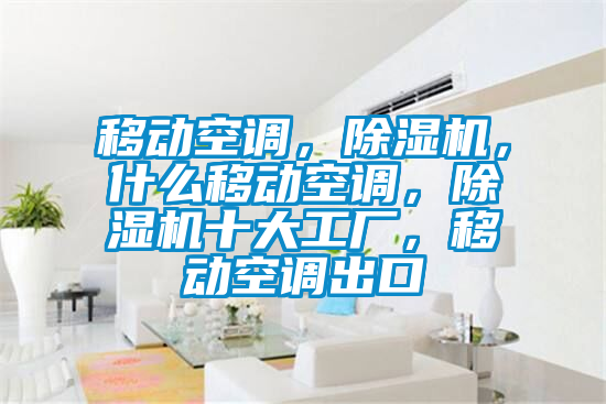 移動(dòng)空調，除濕機，什么移動(dòng)空調，除濕機十大工廠(chǎng)，移動(dòng)空調出口