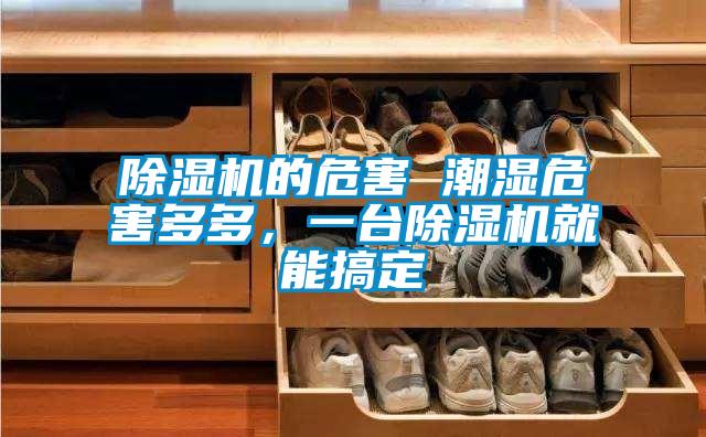 除濕機的危害 潮濕危害多多，一臺除濕機就能搞定