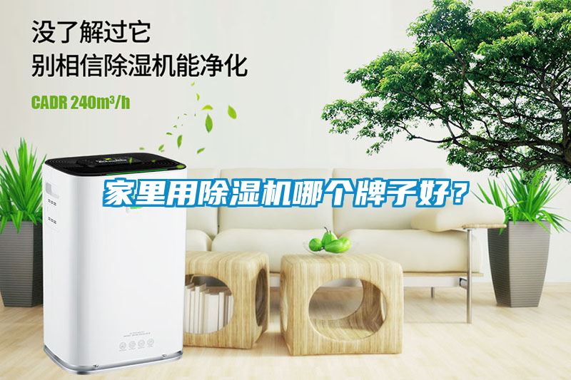 家里用除濕機哪個(gè)牌子好？