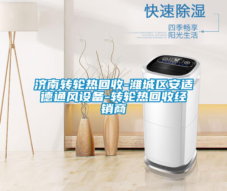 濟南轉輪熱回收-濰城區安適德通風(fēng)設備-轉輪熱回收經(jīng)銷(xiāo)商