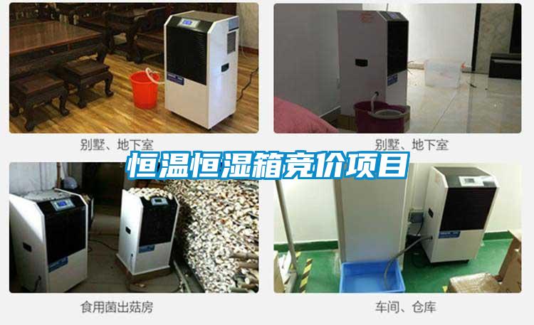恒溫恒濕箱競價(jià)項目