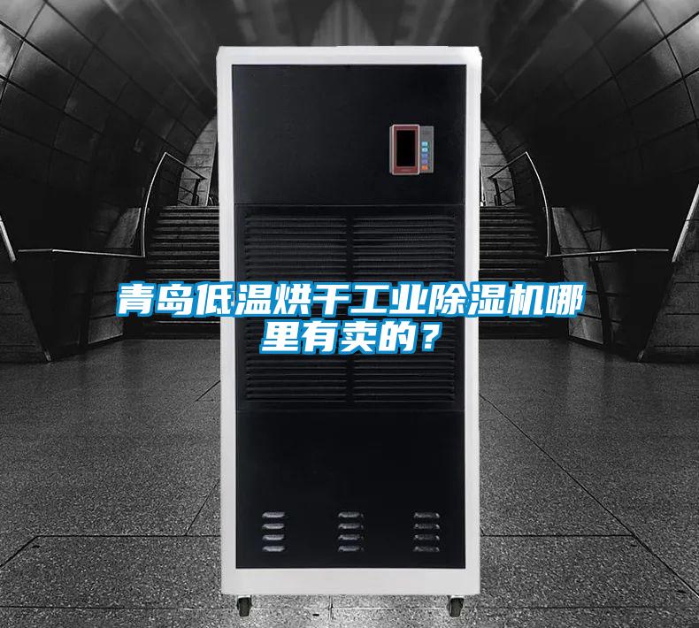 青島低溫烘干工業(yè)除濕機哪里有賣(mài)的？