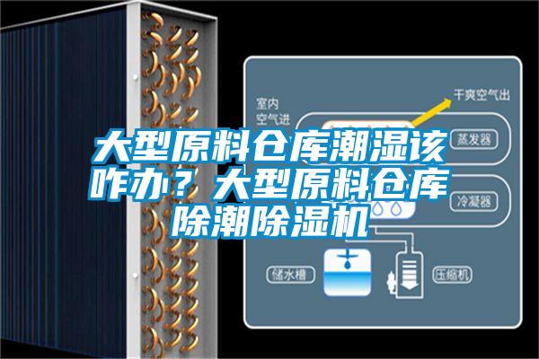 大型原料倉庫潮濕該咋辦？大型原料倉庫除潮除濕機