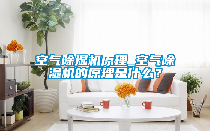 空氣除濕機原理_空氣除濕機的原理是什么？