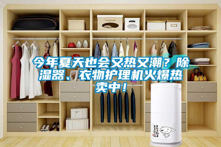 今年夏天也會(huì )又熱又潮？除濕器、衣物護理機火爆熱賣(mài)中！