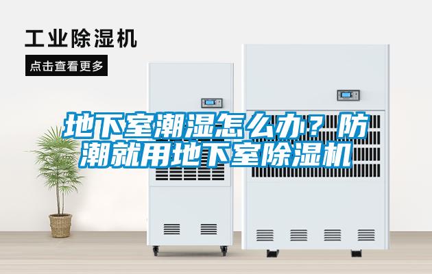 地下室潮濕怎么辦？防潮就用地下室除濕機