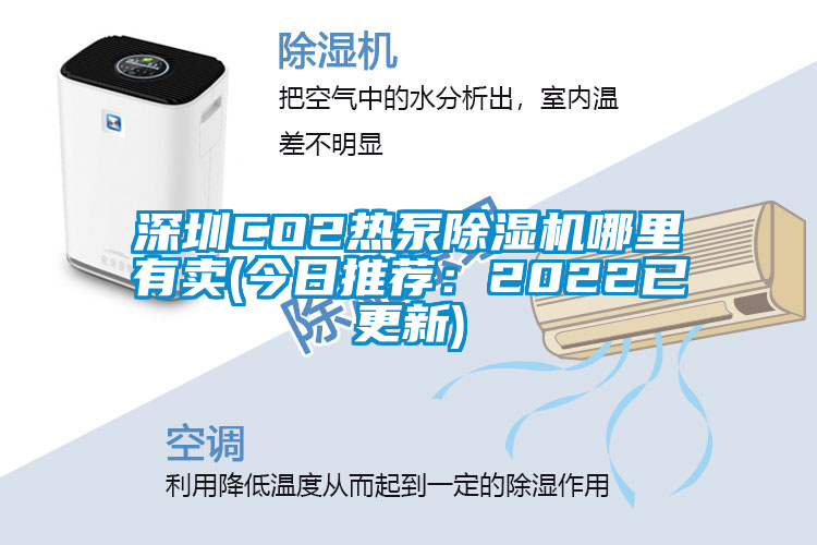 深圳CO2熱泵除濕機哪里有賣(mài)(今日推薦：2022已更新)
