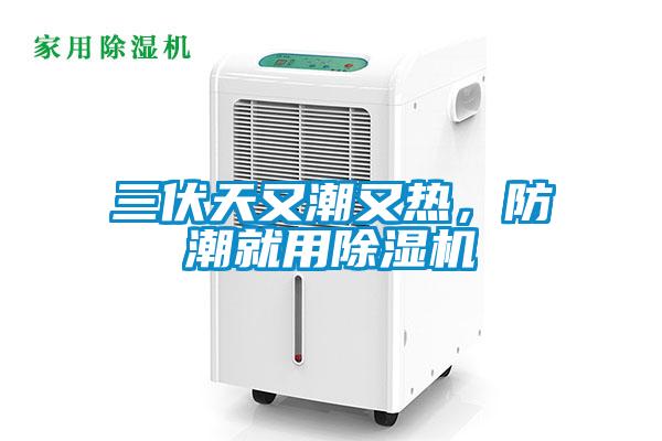 三伏天又潮又熱，防潮就用除濕機