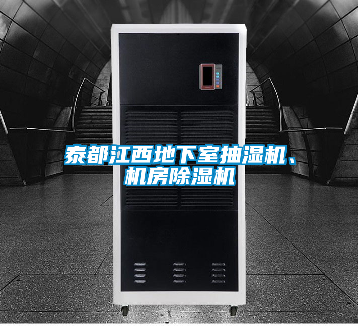 泰都江西地下室抽濕機、機房除濕機