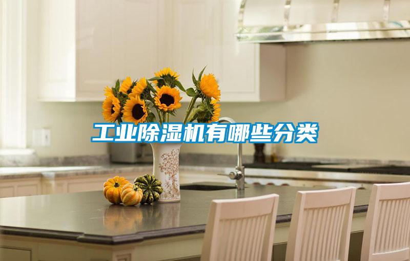 工業(yè)除濕機有哪些分類(lèi)