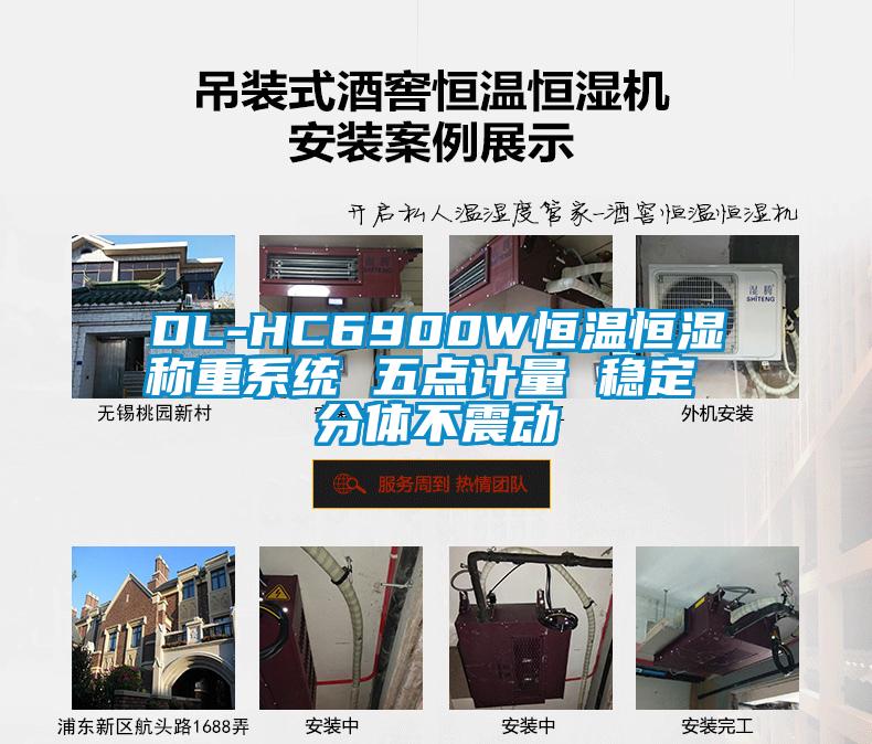 DL-HC6900W恒溫恒濕稱(chēng)重系統 五點(diǎn)計量 穩定 分體不震動(dòng)