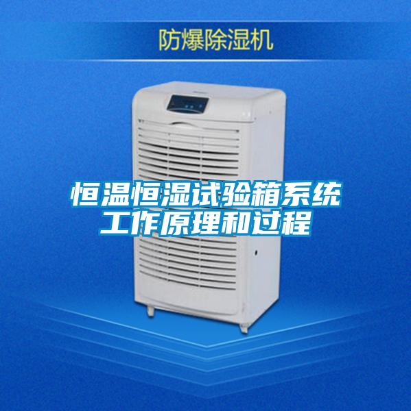 恒溫恒濕試驗箱系統工作原理和過(guò)程
