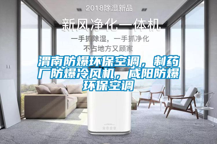 渭南防爆環(huán)?？照{，制藥廠(chǎng)防爆冷風(fēng)機，咸陽(yáng)防爆環(huán)?？照{