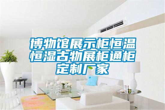博物館展示柜恒溫恒濕古物展柜通柜定制廠(chǎng)家