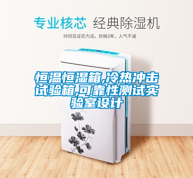 恒溫恒濕箱,冷熱沖擊試驗箱,可靠性測試實(shí)驗室設計